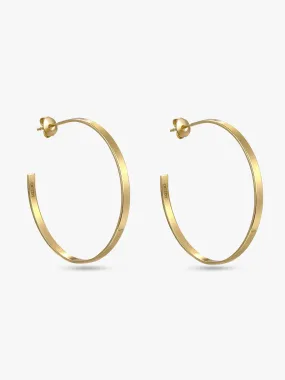 Flat Daily Hoops